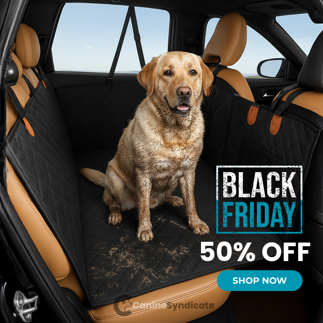 Canine Syndicate Dog Car Seat Protector
