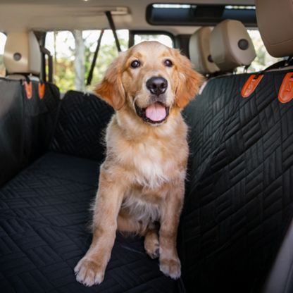Canine Syndicate Dog Car Seat Cover