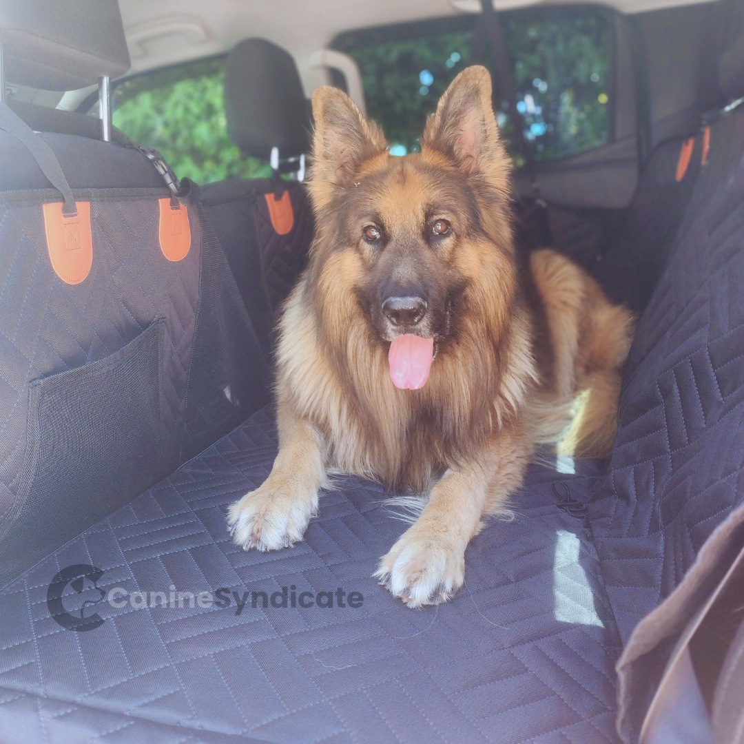 Canine Syndicate Dog Car Seat Cover