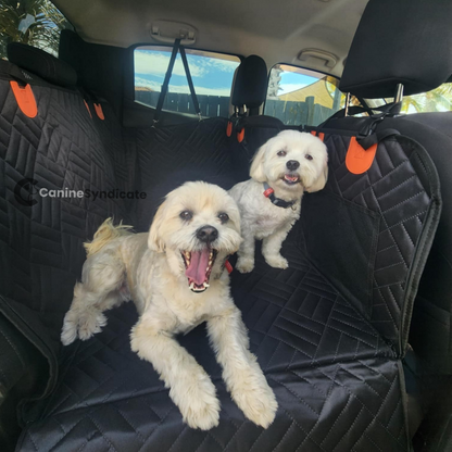 Canine Syndicate Dog Car Seat Cover